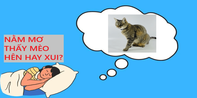 Hình ảnh con mèo trong giấc mơ mang ý nghĩa gì?