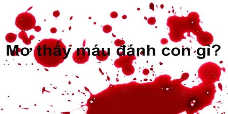 Lưu ý khi áp dụng nghiên cứu ngủ mơ thấy máu đánh số mấy