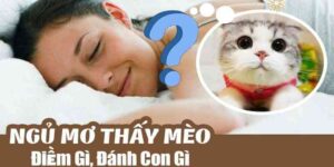 Ngủ Mơ Thấy Mèo Đánh Số Mấy? Ý Nghĩa Con Mèo Trong Chiêm Bao