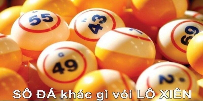 Sự khác biệt giữa lô xiên và số đá là gì?