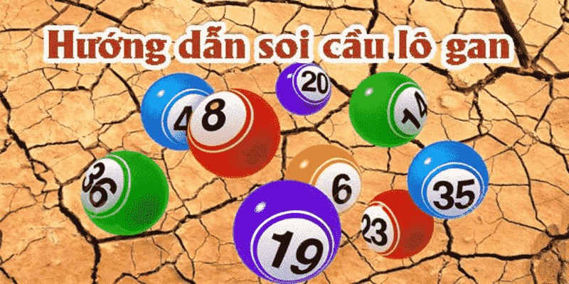 Tuyệt chiêu hiệu quả, dễ trúng khi bắt lô gan là gì?